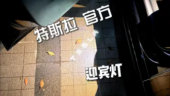 Download Video: 《鼎哥番外》特斯拉官网的迎宾灯，真是又亮又锐