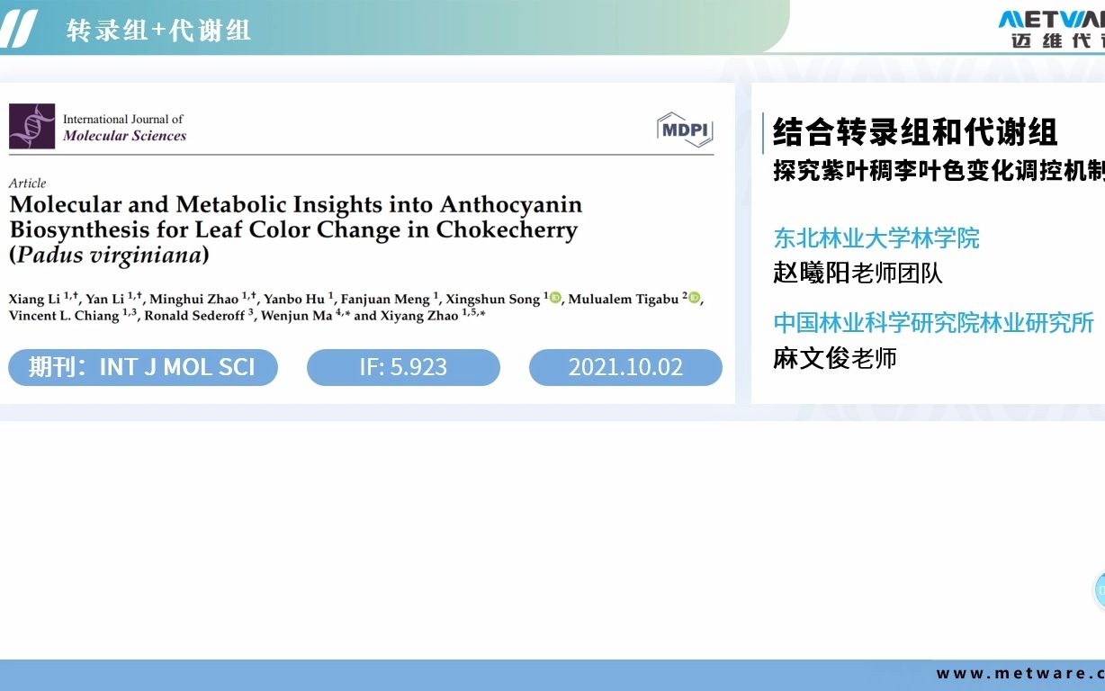 【项目文章】 转录组+代谢组揭示紫叶稠李颜色调控机制——迈维代谢哔哩哔哩bilibili