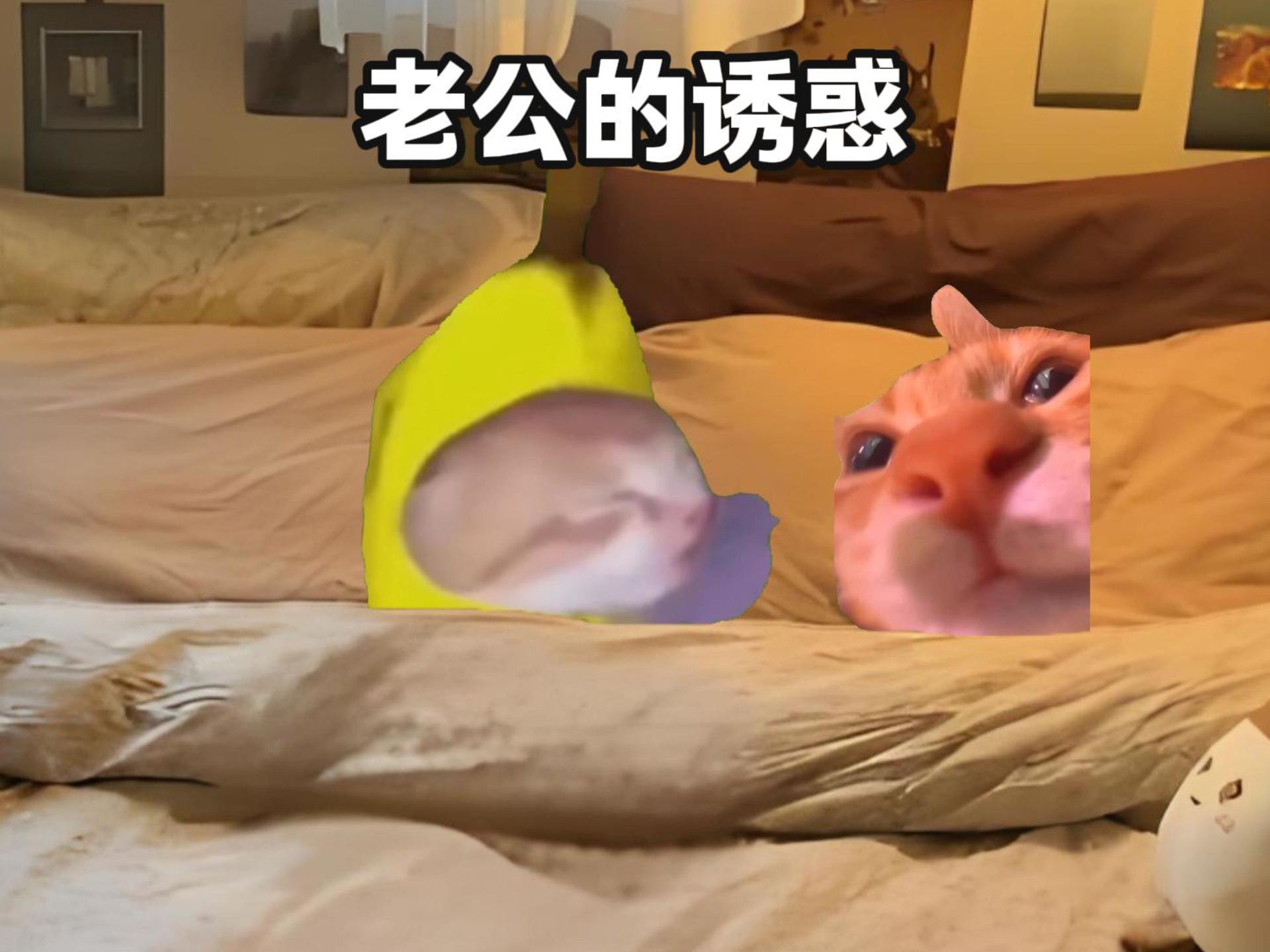 老公的诱惑