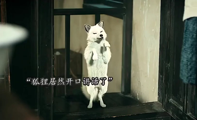 千年狐妖内丹丢了,来找无心帮忙,连狐狸求人都知道送礼