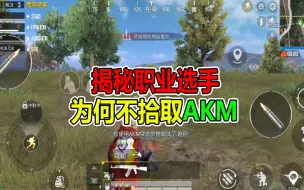 Download Video: 和平精英：揭秘职业选手，为何不拾取AKM