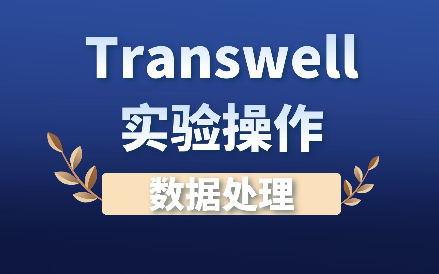 Transwell 实验的实验操作流程及数据处理方法哔哩哔哩bilibili