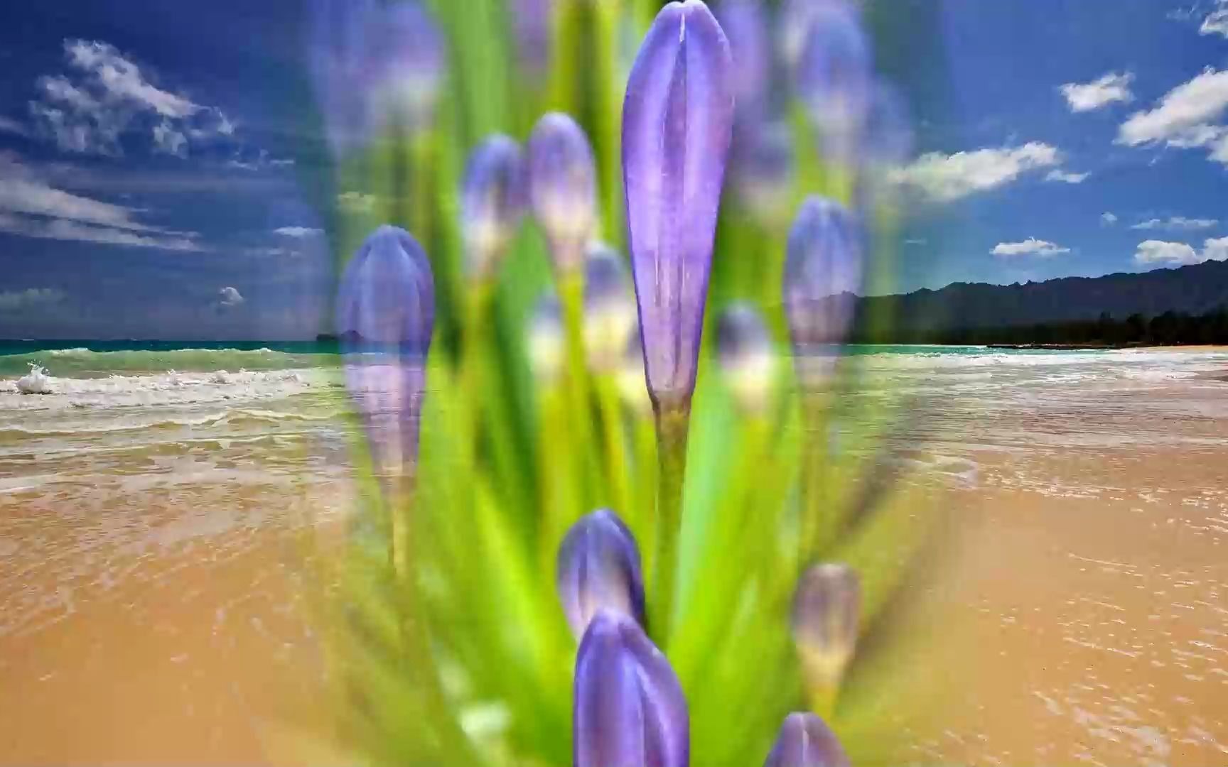 国华古法驻颜养生私教实战营-c