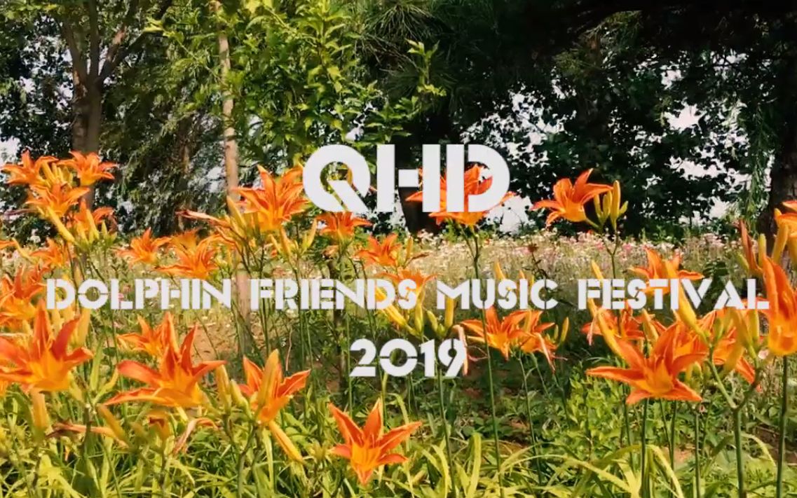 秦皇岛 2019海豚音乐节