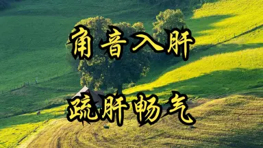 柊疏-哔哩哔哩_Bilibili