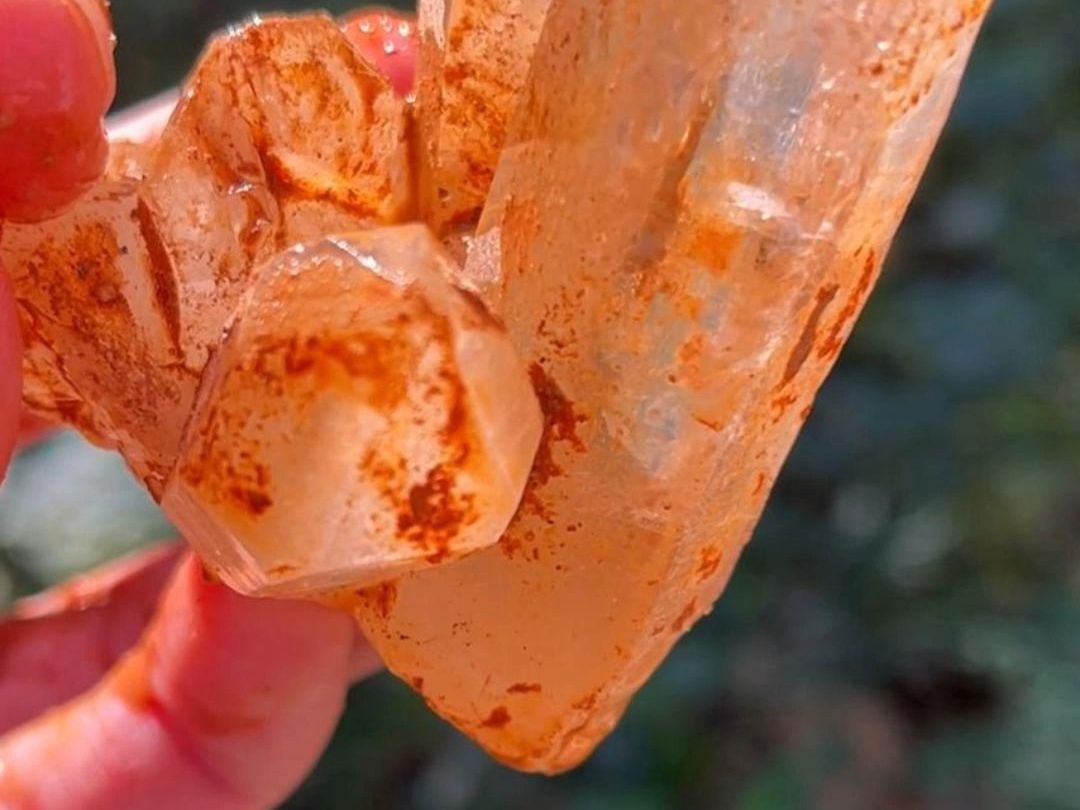 红黄皮的水晶簇