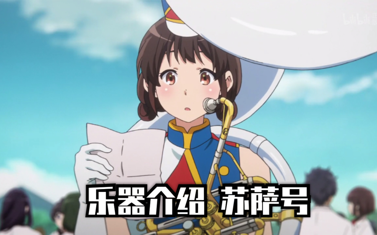 乐器介绍——苏萨号(内附大号炫技视频)