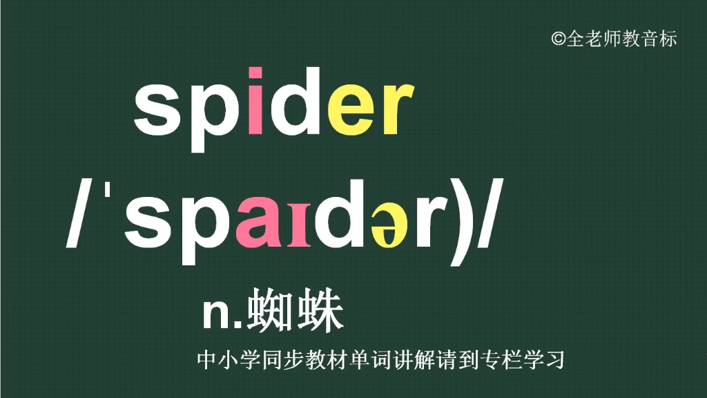 蜘蛛spider怎么读如何记哔哩哔哩bilibili