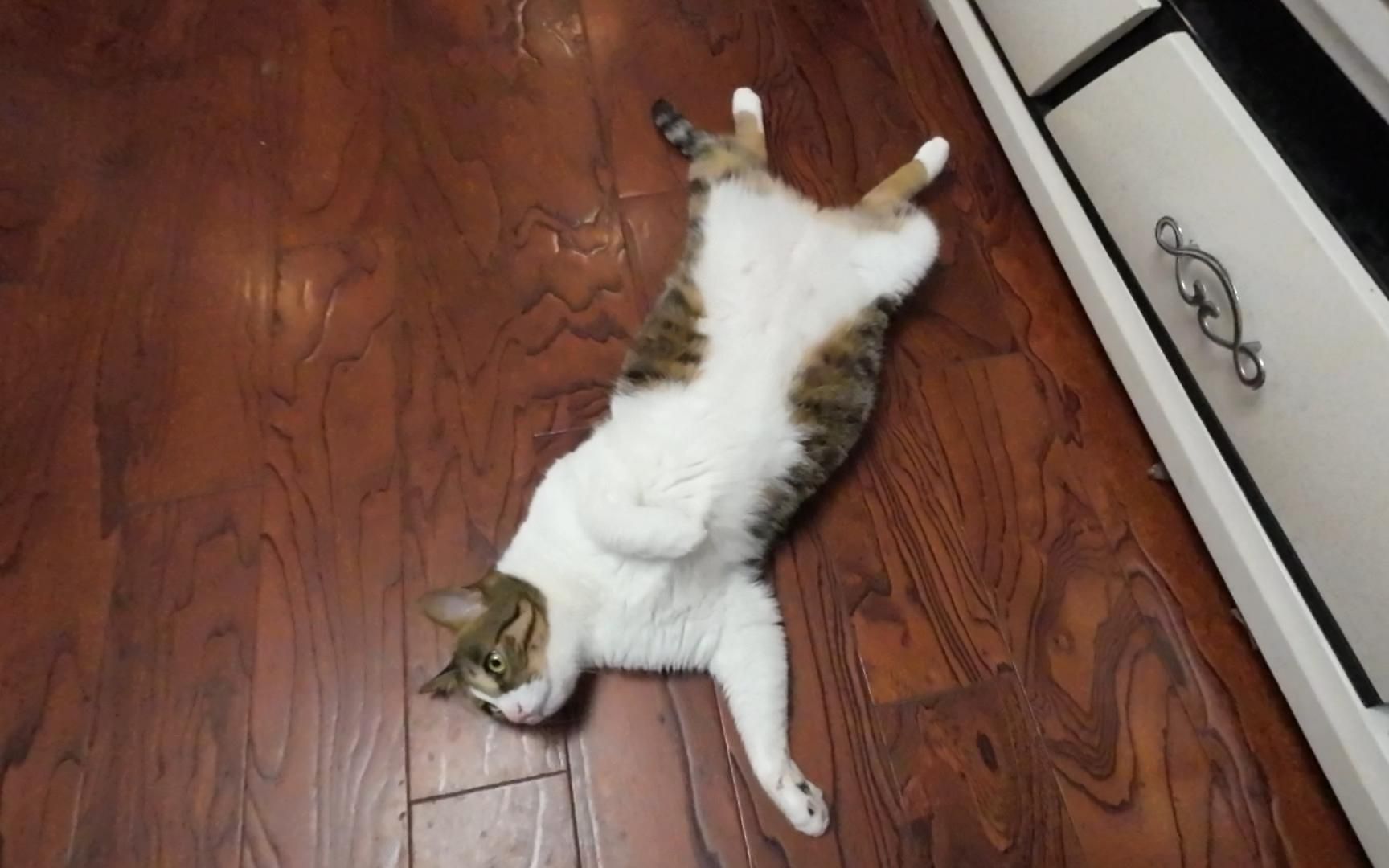 平沙落雁四脚朝天式