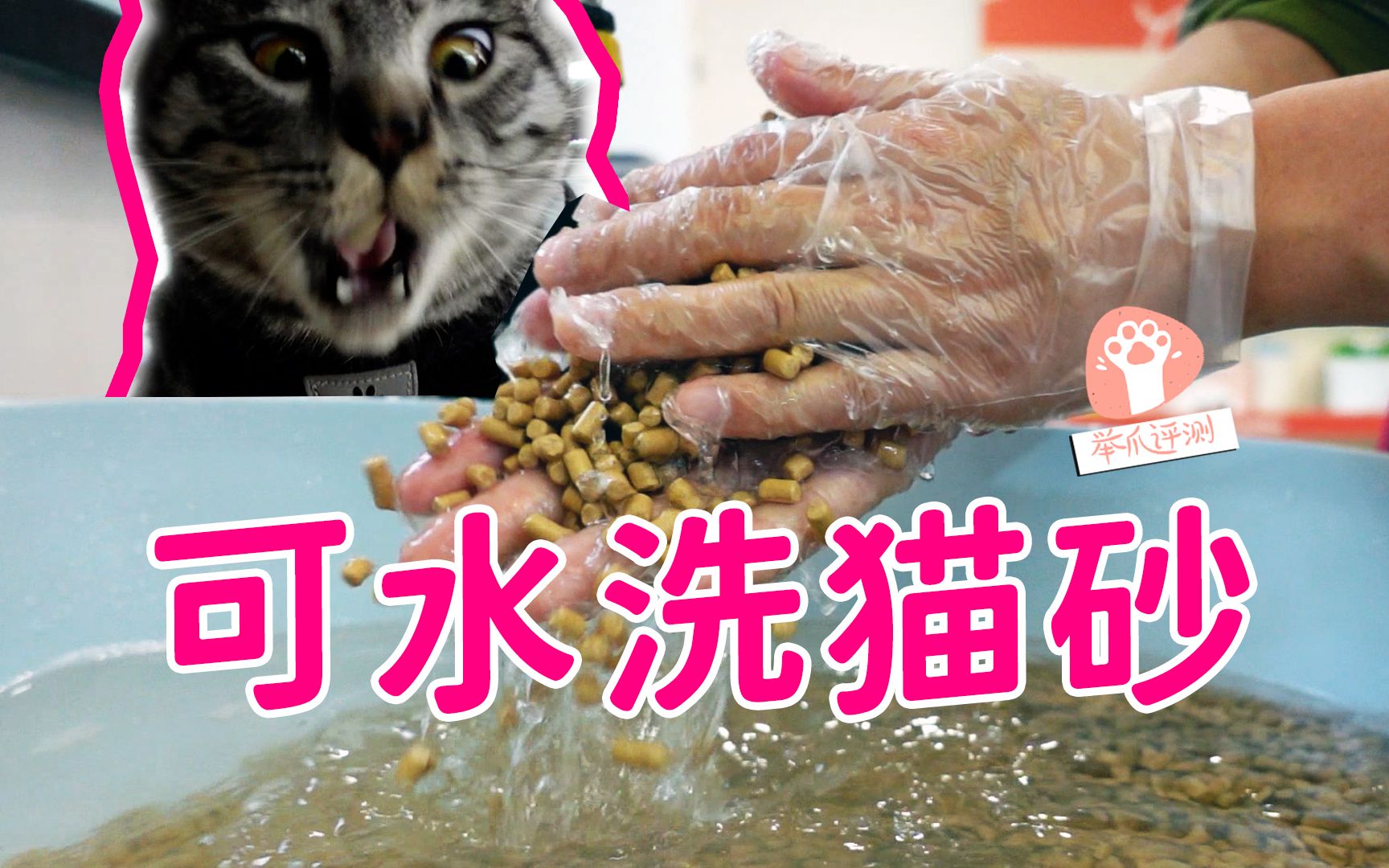 可重复水洗的猫沙!真可以用一辈子?哔哩哔哩bilibili