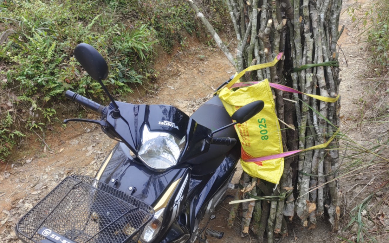 honda 五羊本田125cc女装摩托车跑山拉柴纯享