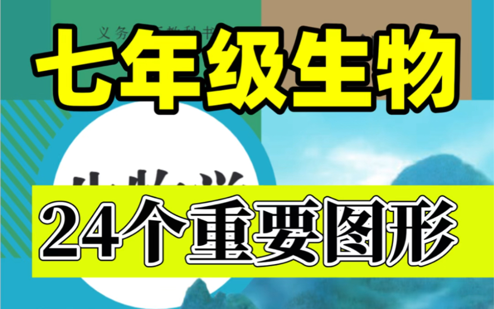 七年级下册生物期末24个重要图形.轻松掌握重点难点,打印出来给孩子学习吧!#七年级下册生物#初一生物#初中生物#知识点总结#期末考试#电子课本#必...