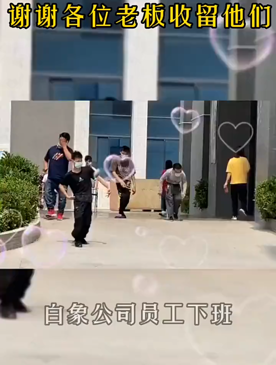 白象良心企业哔哩哔哩bilibili