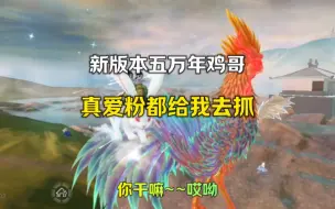 Download Video: 五万年鸡哥，真爱粉都给我冲