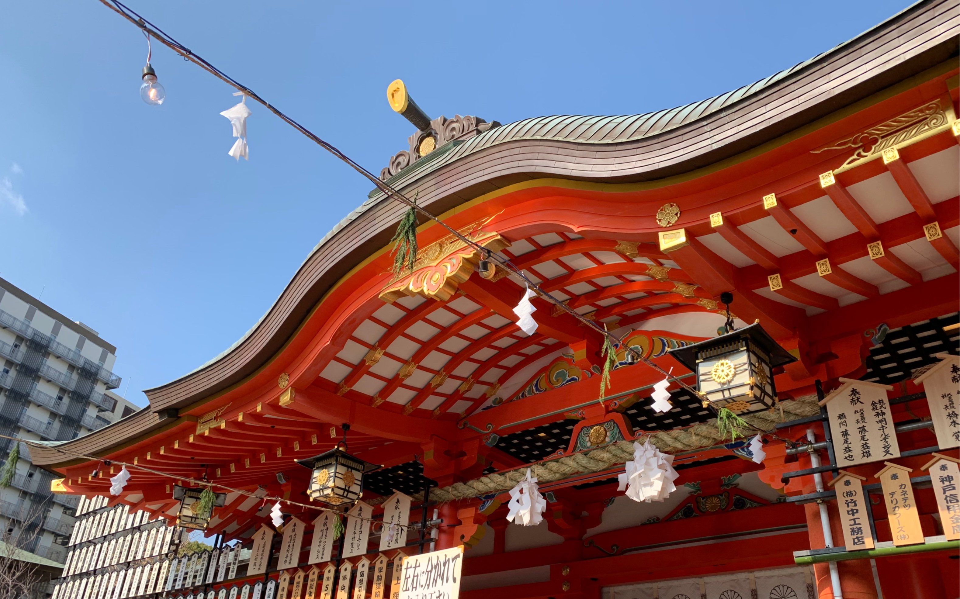 【旅行视频】日本神社跳大神