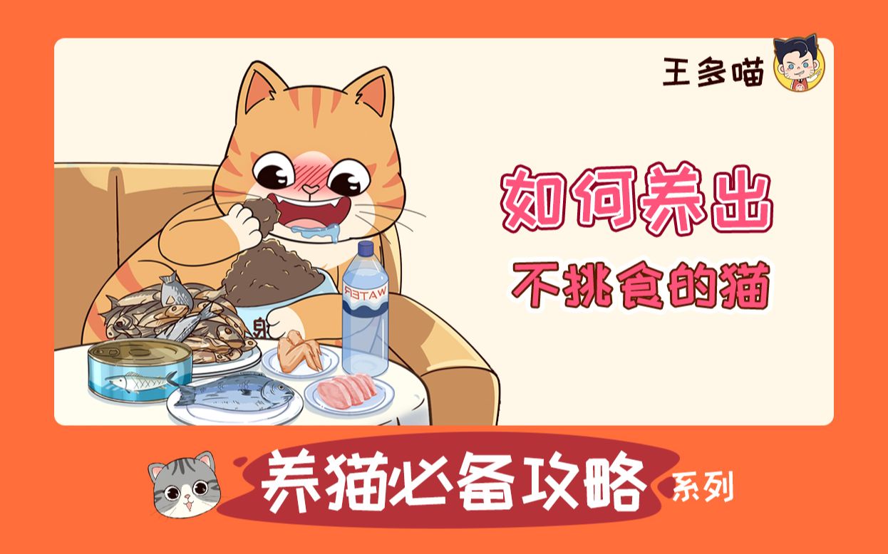 如何养出一只不挑食的猫？做好一点就行 哔哩哔哩 0362