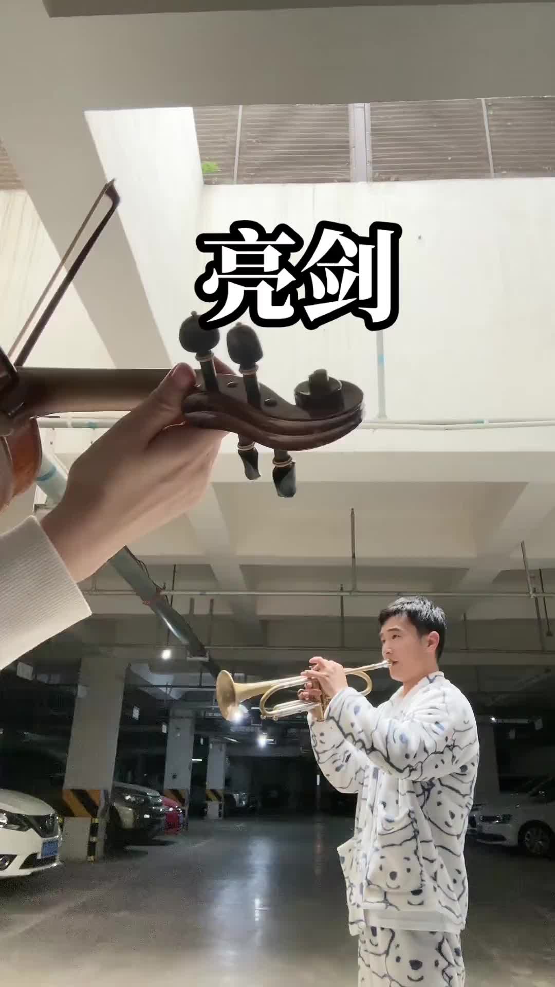 我还没吹完呢,给我点了,正起劲呢唉 铜管乐器 小号演奏 亮剑主题曲