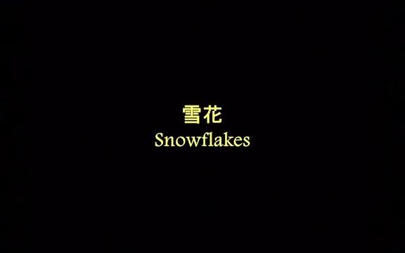 [图]雪花 Snowflakes