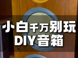 Download Video: 小白千万别玩DIY音箱