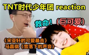 Download Video: 【时代少年团】《宋亚轩的可爱暴击》《雪落下的声音》reaction/进来可以，自备速效救心丸就行~