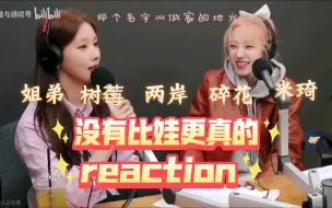 Скачать видео: 【reaction】娃CP就是坠吊的！姐弟树莓两岸碎花米琦，嗑过的都说好啊啊啊啊啊啊！