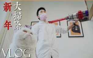 下载视频: 养猫人必备！好用的三款除毛神器！