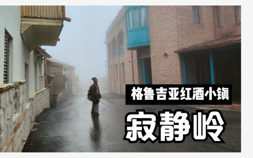 冬季不要一个人随便去格鲁吉亚红酒小镇,像进入了寂静岭的场景哔哩哔哩bilibili