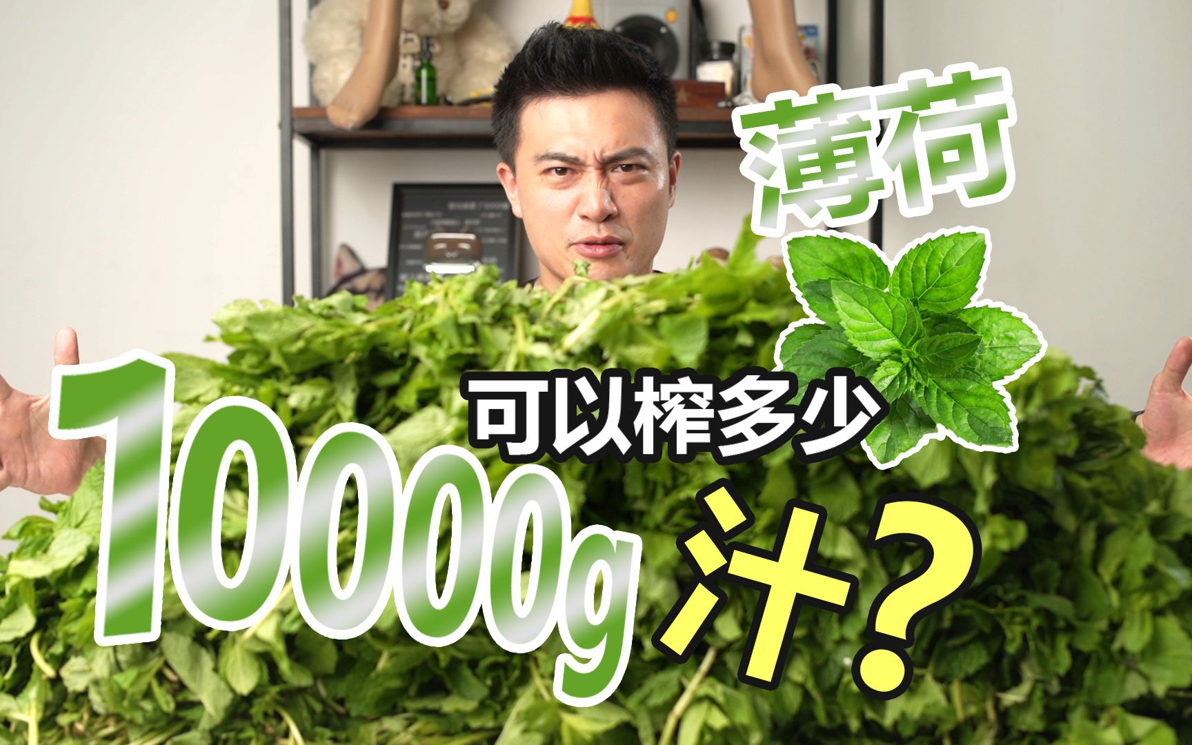 [图]尝试把10000g薄荷榨干后，看看到底能有多少汁？