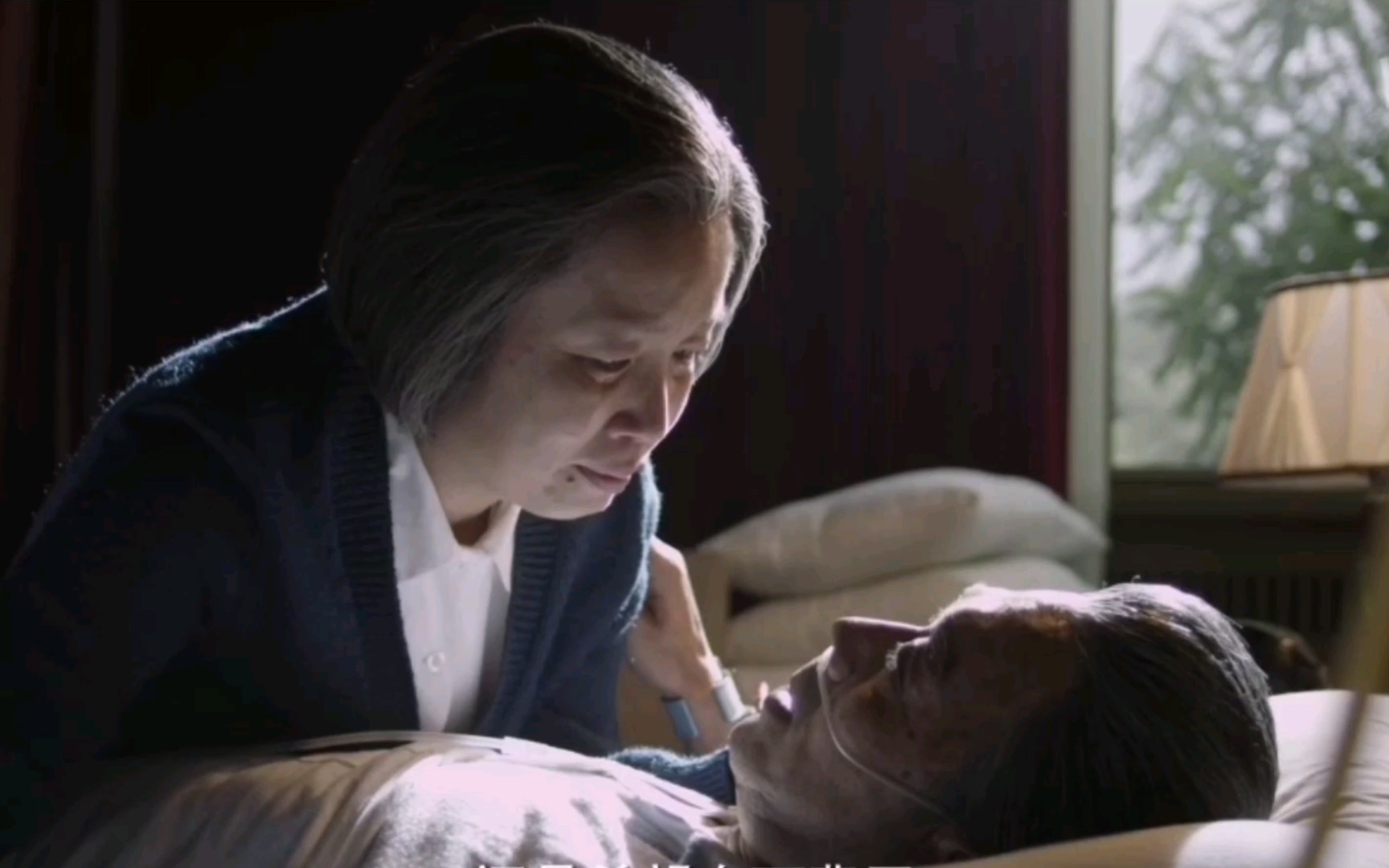 电视剧 海棠依旧剪辑 cut11 等我走了 不要再住西花厅了 那是国家让我