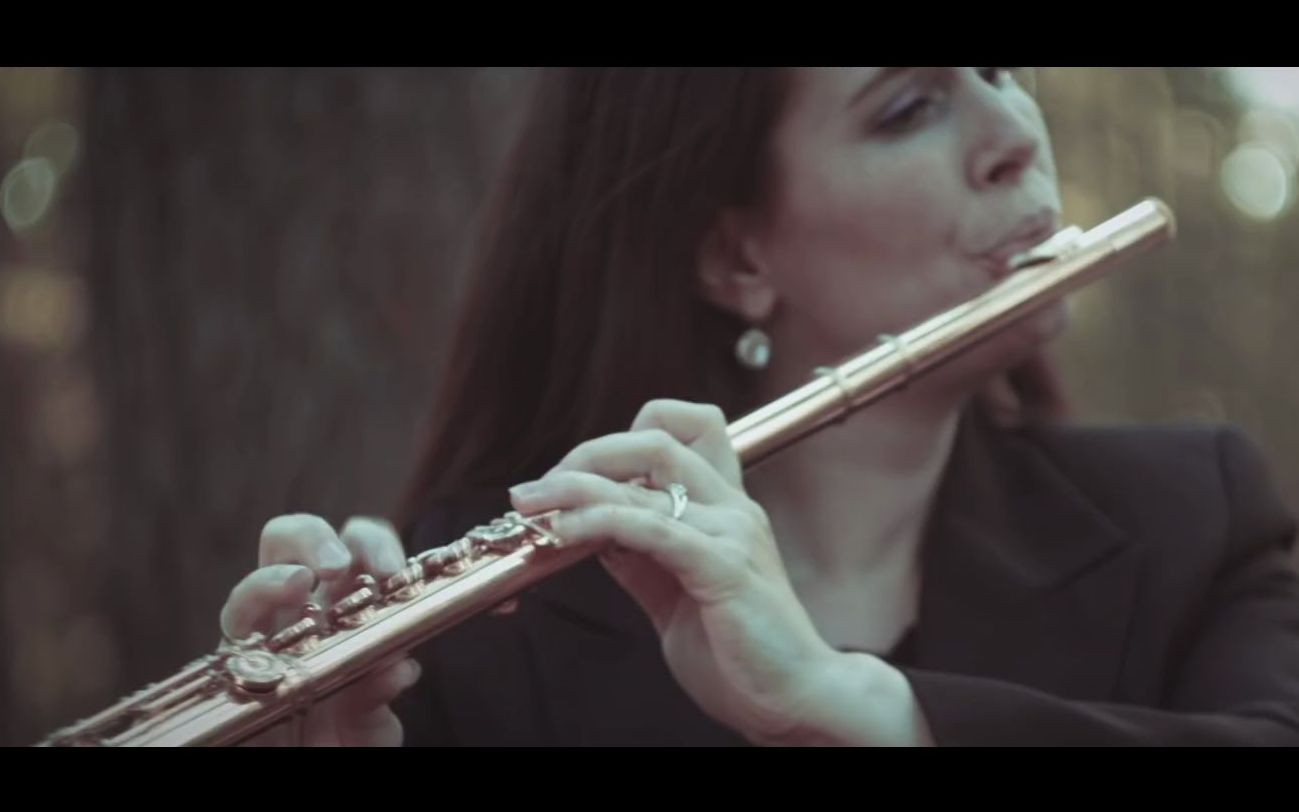 管乐franzlisztgrandesetudesdepaganinino6