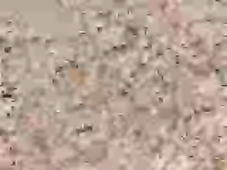 童丽-清夜悠悠 伴奏 高音质和声伴奏