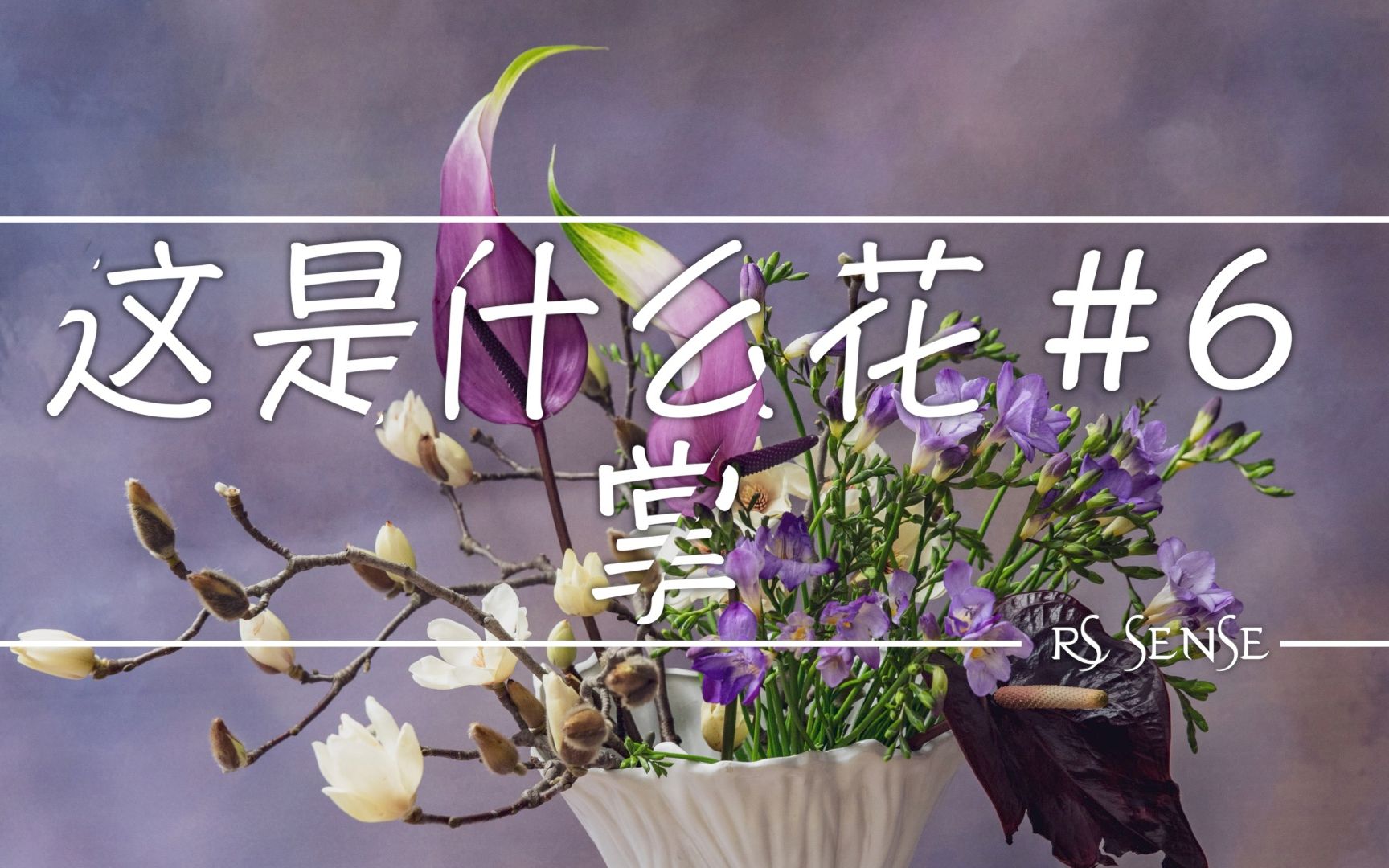 [图]这是什么花系列：有人叫它火烛、花烛、安世莲、安世莲、花掌，火鹤，一款高级质感的花