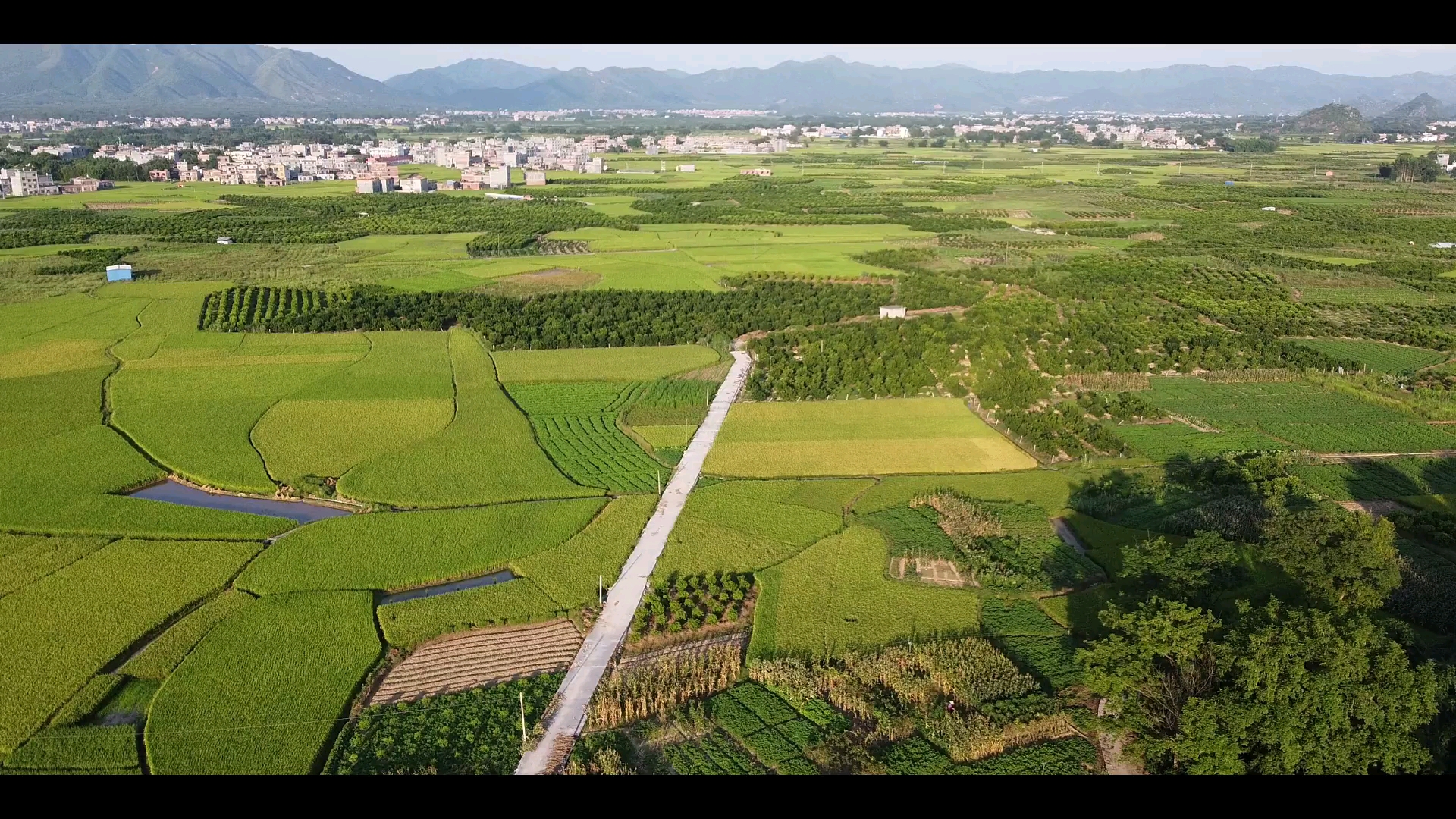 航拍农村:入门级航拍无人机与专业级有哪些区别?