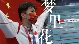 汪顺 · 梦里花 ‖ “唯一纯白的茉莉花”