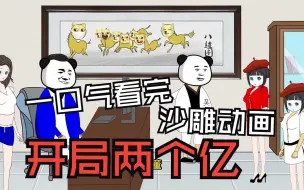 Descargar video: 一口气看完沙雕动画《开局两个亿》