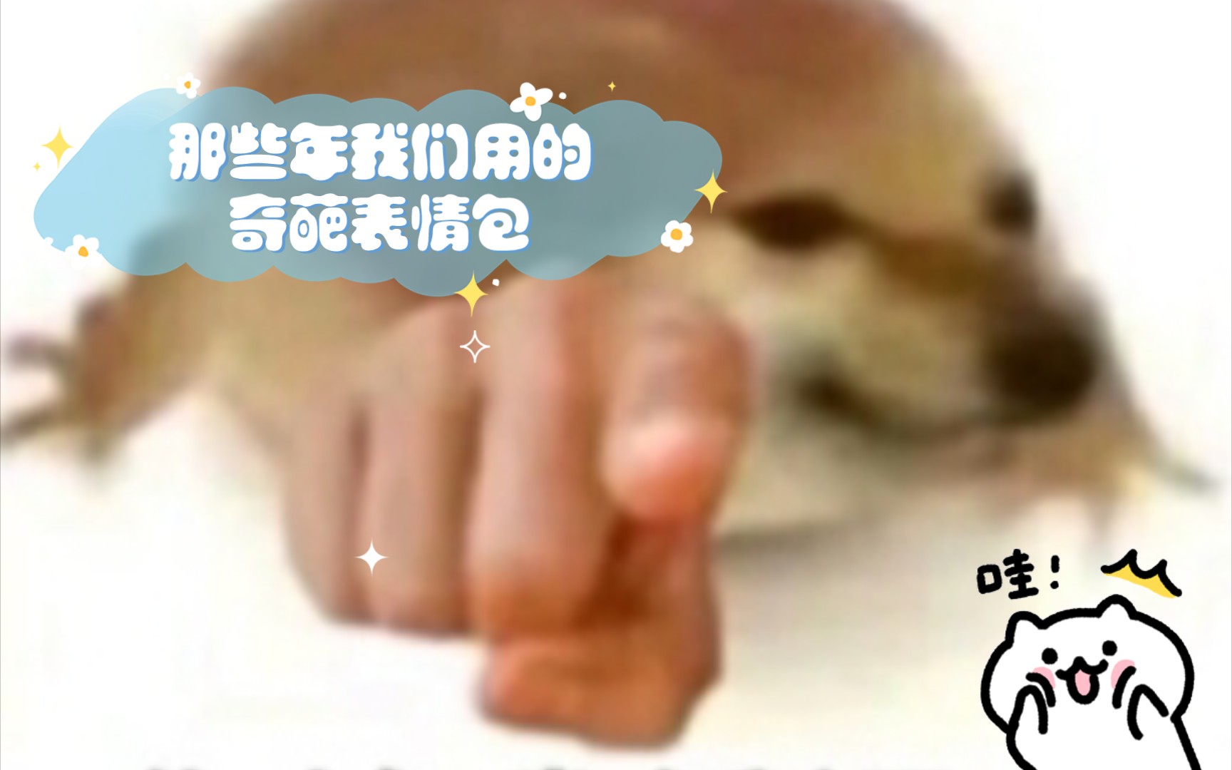 那些年我们用的奇葩表情包
