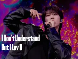 Download Video: 【4K中字】I Don't Understand But I Luv U · 旗帜黑白版- SEVENTEEN Glastonbury音乐节 240628