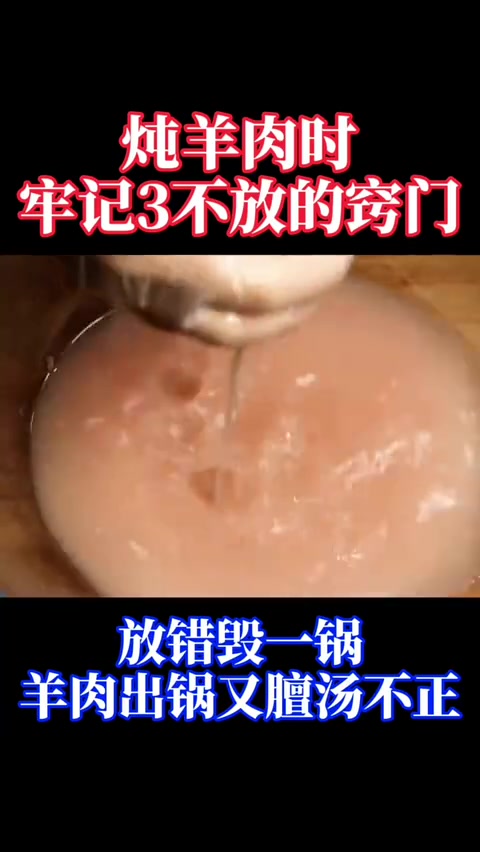 炖羊肉时牢记三不放的窍门哔哩哔哩bilibili