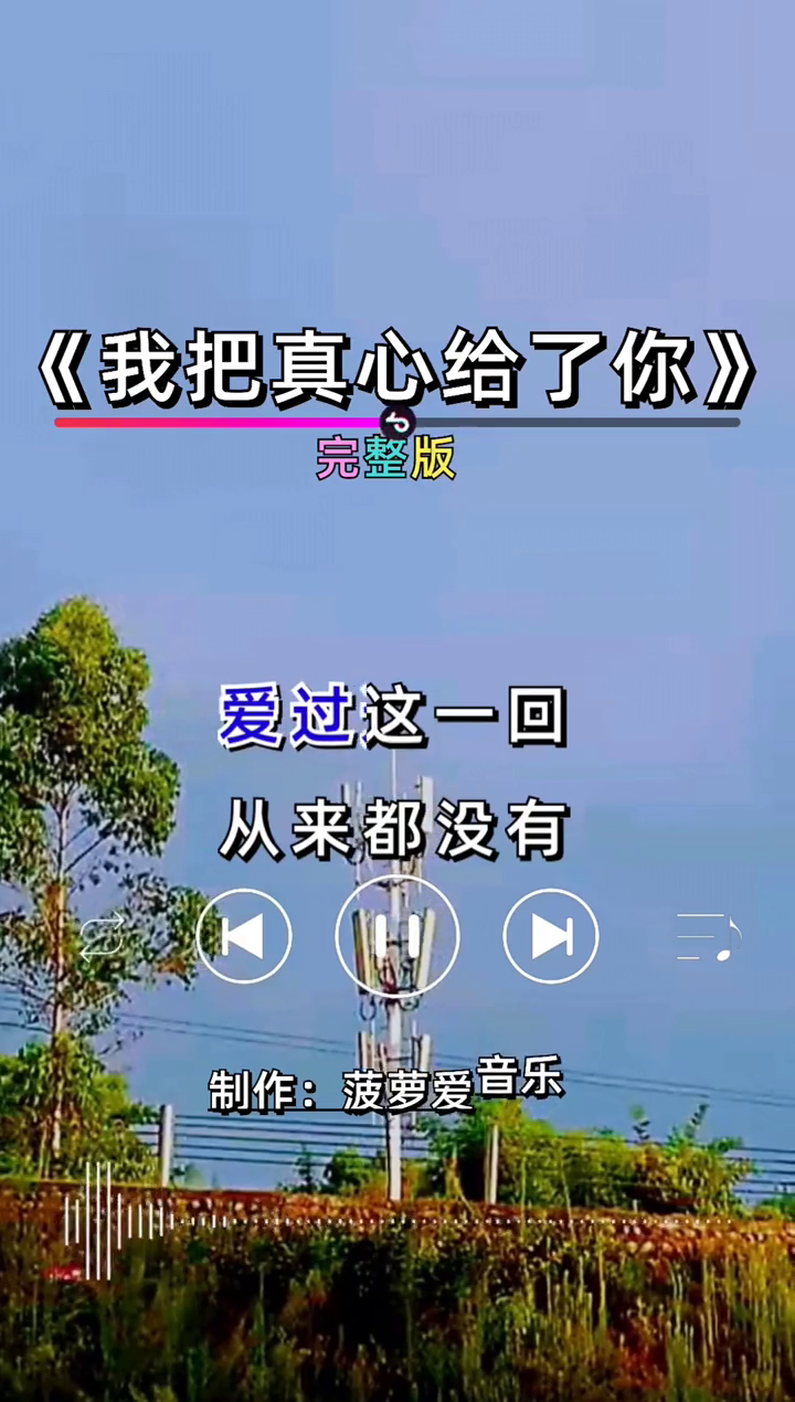 当初我以为相爱就能相随可是这一切都是以为我把真心给了你完整版