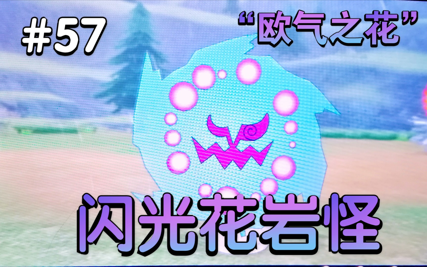 robinの刷闪雪原篇欧气之花闪光花岩怪get宝可梦剑盾