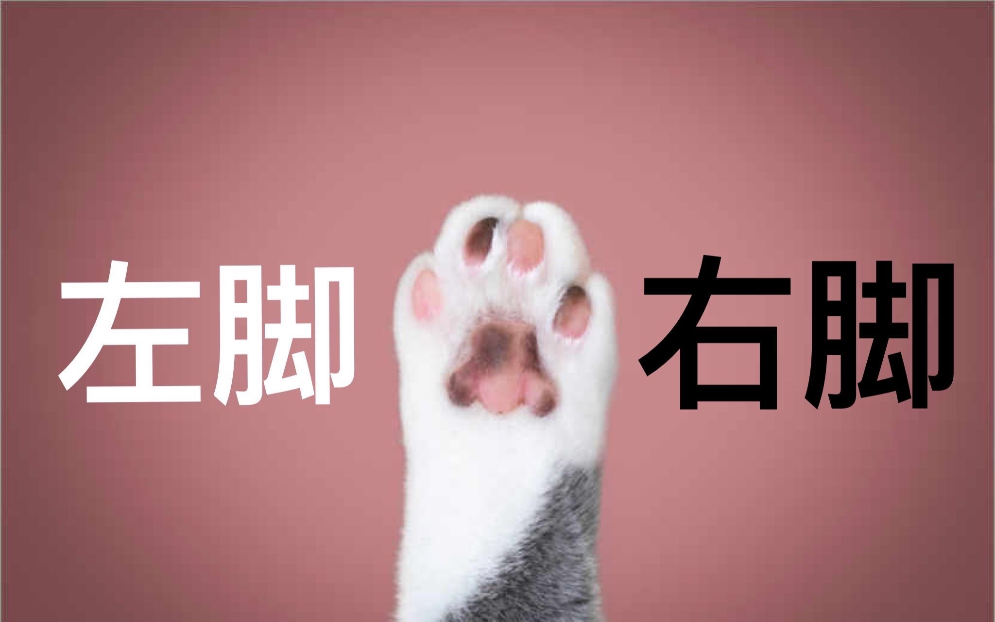 活动作品放左脚还是右脚这玩意是个问题