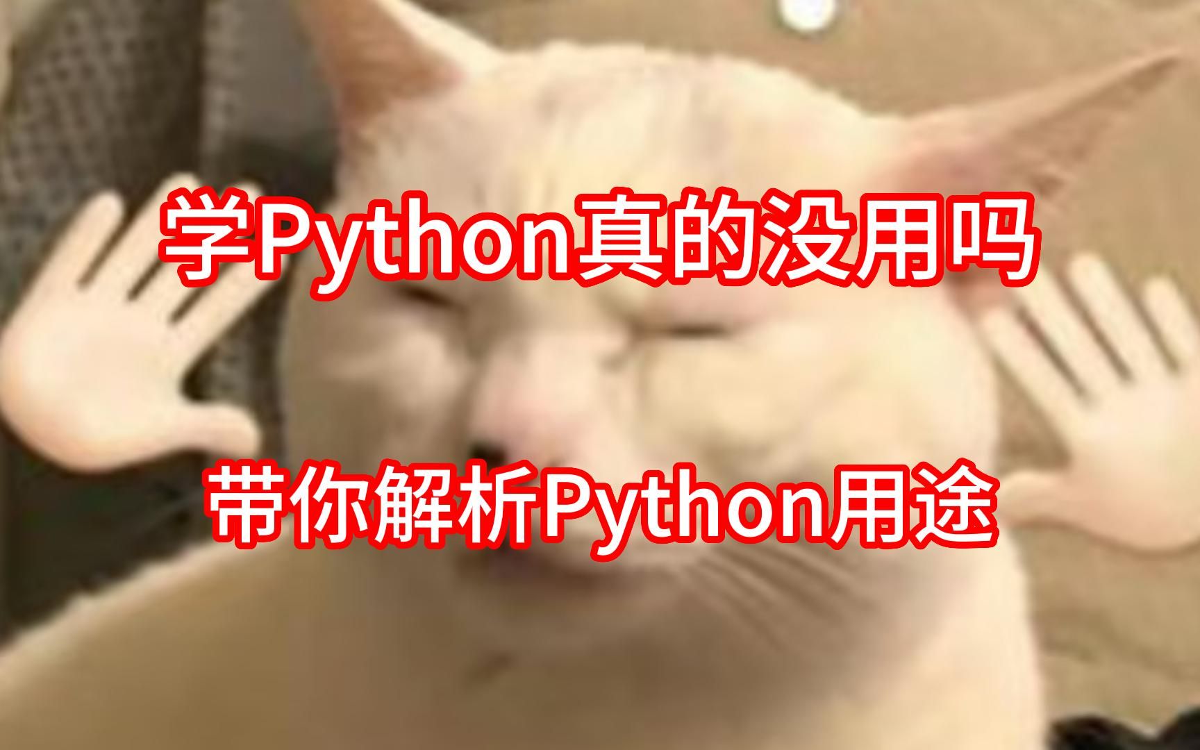 学Python真的没用吗,这个视频带你解析Python用途,小白看了不再迷茫,之前花两万买的资料帮助了我很多,有需要的宝子一键三连获取Python全套学习资...