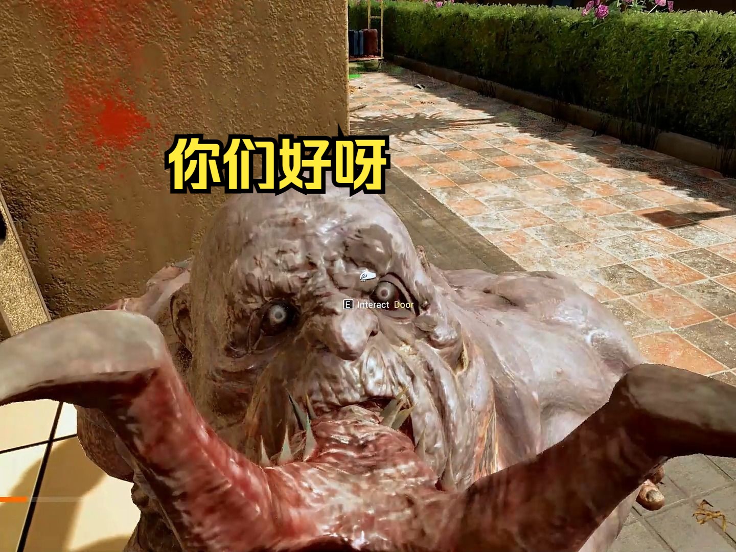 我在末日世界发现变异体!