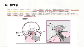 基础肌动学 第三版 哔哩哔哩 つロ干杯 Bilibili