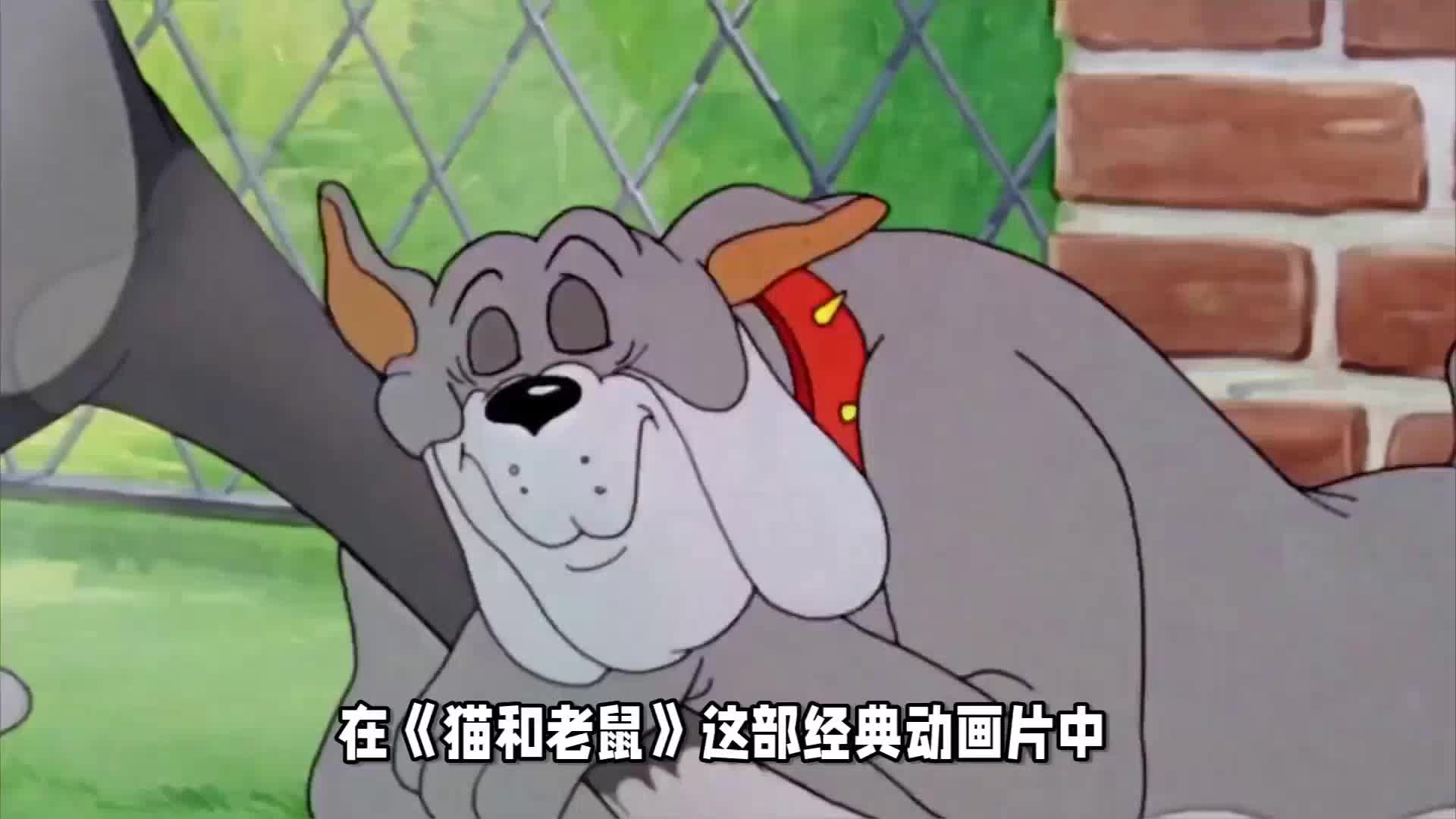 猫和老鼠里面的狗叫啥名字