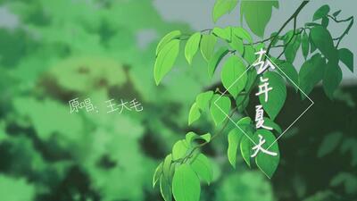 【圆儿缘】去年夏天