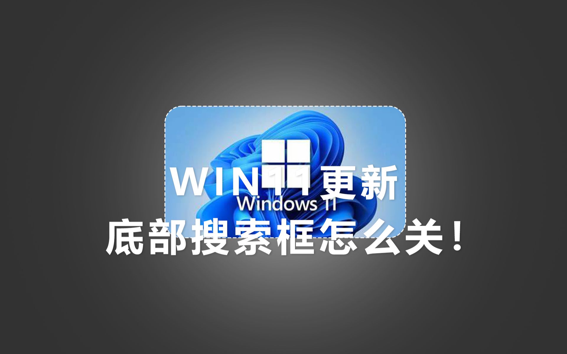 WIN11更新后,底部搜索框怎么关闭!哔哩哔哩bilibili