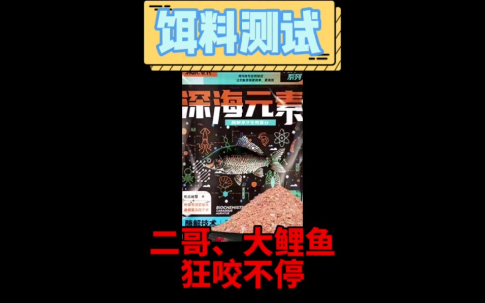 芝麻剑和鲤鱼这样吃?!化氏新品深海元素水下测试哔哩哔哩bilibili