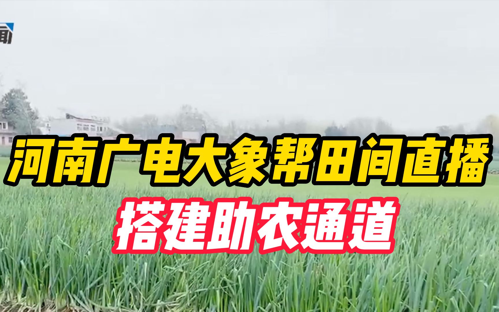 【河南蔬菜促销举措】河南广电大象帮田间直播 搭建助农通道哔哩哔哩bilibili