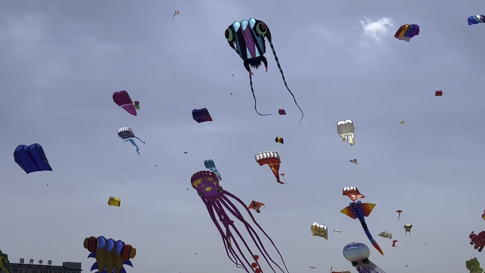 【vlog122|虽然误车,但还是去看了心心念念的潍坊风筝节】